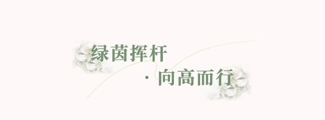 1731290352457589.jpg 微信图片_20241111094805.jpg